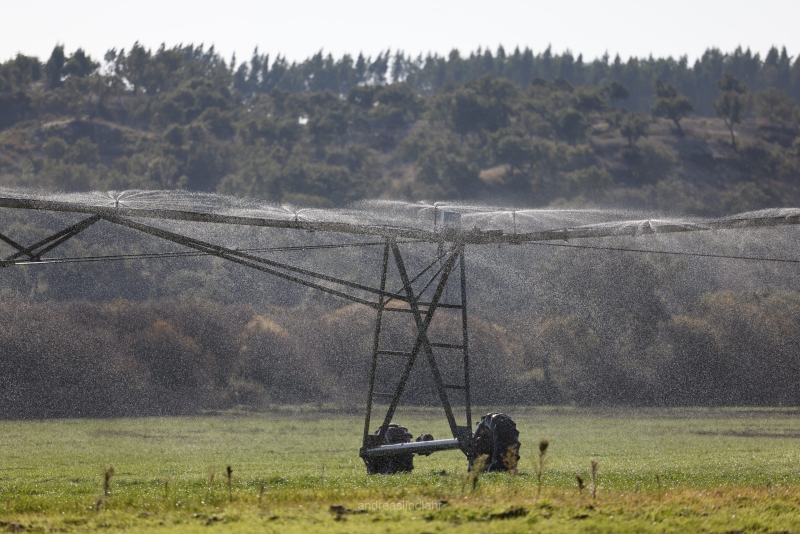 Agricultural  watering 2