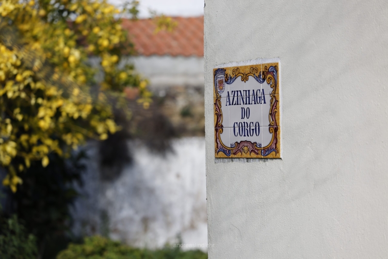 Portugal Street, Lemons