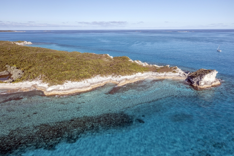 Conception Island  Bahamas