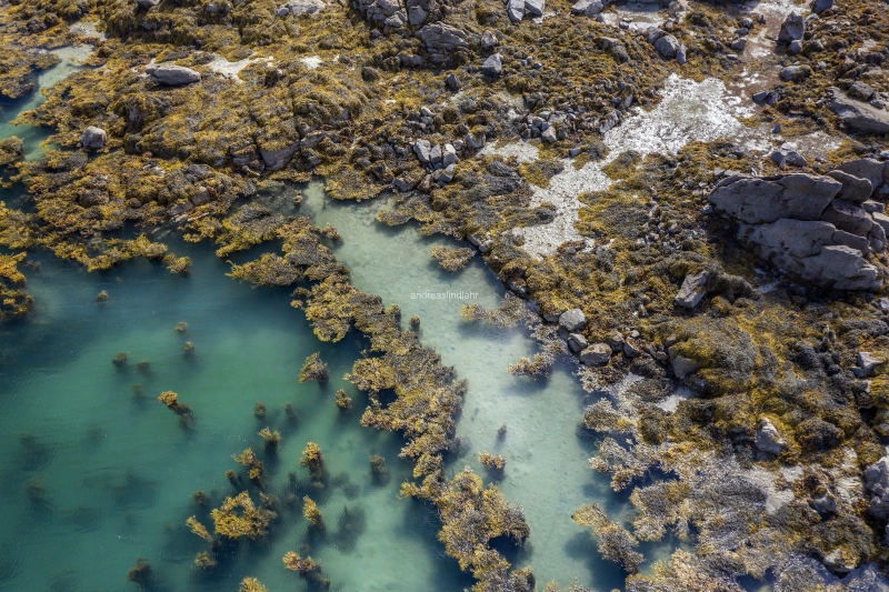 Îles de Chausey